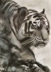 Tigre på jakt