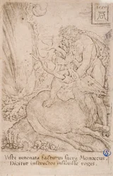 Herakles fanger den ceryneiske hinden, fra serien: Herkules#39; arbeid (13)
