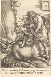 Herkules og hinden