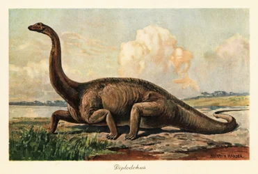Utdødd Diplodocus longus på slettene.