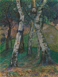 Bjørker på Barkenhoff, 1913.