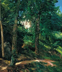 Slottsområdet i Lichtenberg i Odenwald