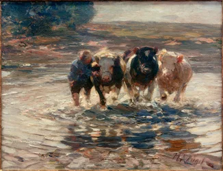 Gjennom vadestedet