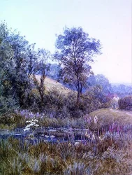 Plukker blomster ved dammen