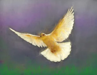 Bringer of Peace, 2019