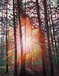 Sunburst, 2010
