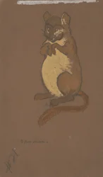 Dormouse (kostymedesign for Alice i Eventyrland, 1915)