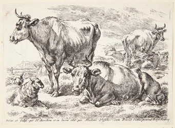 Portrett av et medlem av Out-familien. Cornelis Out (?)