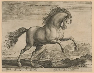 villhest Eqvvs liber et incompǒsitvs (tittel på objekt) Hesteraser fra den kongelige stallen til Don Juan av Østerrike (serietittel)