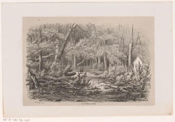 Trær som ble blåst ned på Jacobalaan, etter stormen 28. mai 1860 Jacobalaan (tittel på objekt) Album med ti litografiske skisser, som viser Tooneelen of the Destruction, agitated by stormen 28. mai 1860 i 
