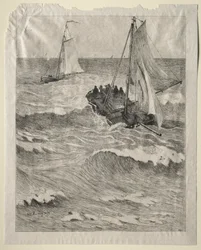Marine scene