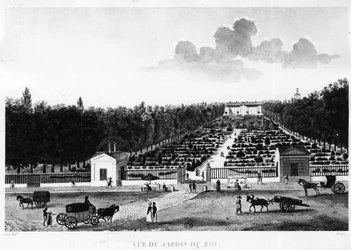 Utsikt fra kongens hage: den botaniske hagen i Paris - gravering av Courvoisier