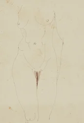 Kvinnelig naken torso (penn og blekk på papir)