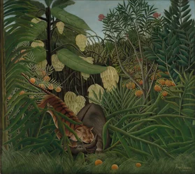 Kamp mellom en tiger og en bøffel, 1908