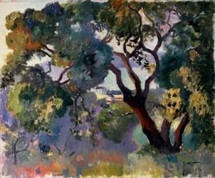 'Landskap i Saint-Tropez', 1905.
