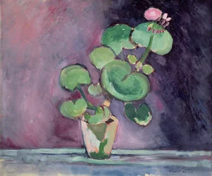 Geranium i en potte (olje på lerret)