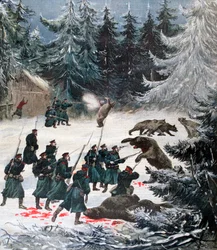 Bjørnangrep, Russland, 1892