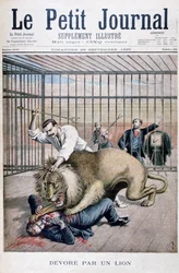 Løveangrep, 1895