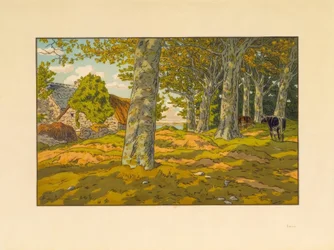 Bøkeskogen i Kerzadern