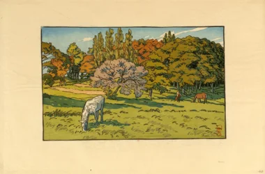 Liten skog ved Beret (Douarnenez)