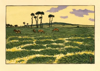 Kyr i feltet til Garde-Guérin (Saint-Briac)