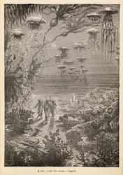 «En vandring under vannet» fra «20 000 ligaer under havet», ca. 1870 (gravering)