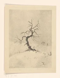 Lonely Tree (original tittel på objekt)