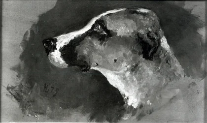 Hodet til en hund med korte ører, 1879
