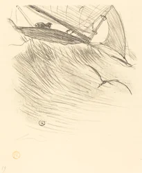 sjøsvaler
