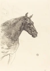 Old Horse Den gamle hesten, 1897.