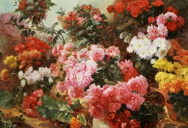 Flerfargede krysantemum. Maleri av Henri-Arthur (Henri Arthur) Bonnefoy (1839–1917). Privat samling.