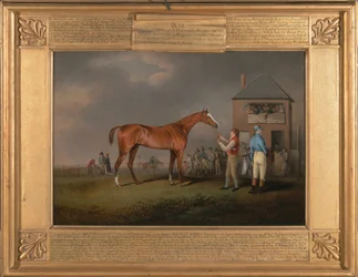Quiz etter hans siste løp på Newmarket