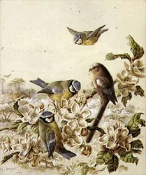 Frukthage ranere