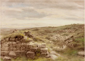 Husmannsplasser (kroppsfarge)