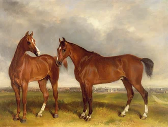 Jegere i en paddock, en by utenfor