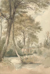 Strøm med trær og storfe nær Bromley Hill, Kent