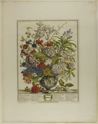 juli, fra Tolv måneder med blomster