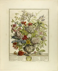 Juli, fra Tolv måneder med blomster