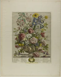 juni, fra Tolv måneder med blomster