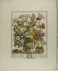 oktober, fra Tolv måneder med blomster