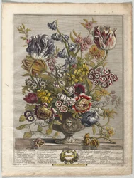 Tolv måneder med blomster: april 1730.