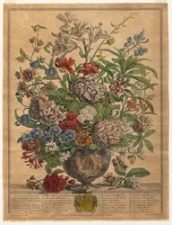Tolv måneder med blomster: juli