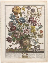 Tolv måneder med blomster: mars