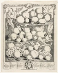 Tolv måneder med frukt: august 1732.