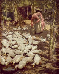 Den lille bedriften, 1896
