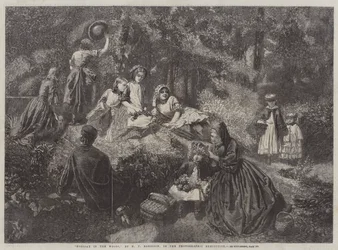 Ferie i skogen