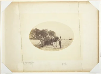 På bakkene til Cader-Idris, The Last Load of Hay