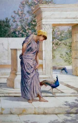 «Sommeren er her» Ung drapert kvinne og en påfugl på en antikk marmorterrasse. Maleri av Henry Ryland (1856–1924) (klassisisme)