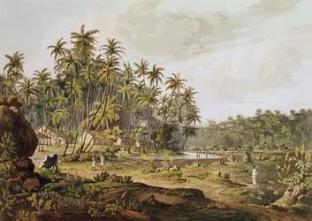 Utsikt nær Point du Galle, Ceylon, gravert av Daniel Havell (1785-1826) publisert i 1809