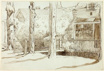 Hus og gamle trær